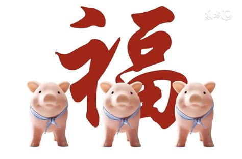 豬年 年份|屬豬今年幾歲｜屬豬民國年次、豬年西元年